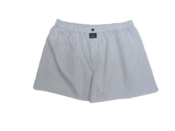 BOXER DE RAYAS CELESTES / 39