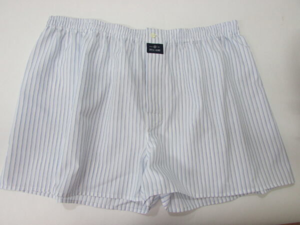 BOXER RAYAS AZULES / 49